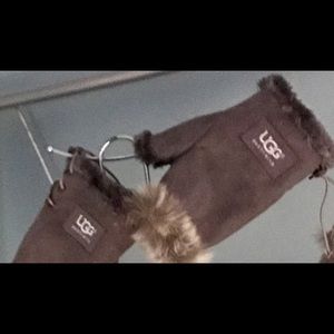 UGG Gloves